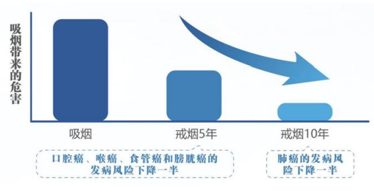 半岛公开课丨国家版“防癌说明书”来了！一半内容与吃有关......