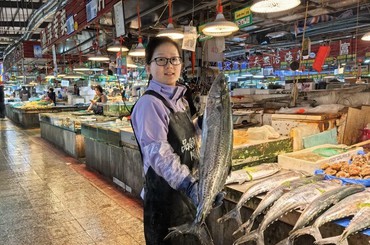 新鲜便宜！青岛鲅鱼大丰收，快来尝鲜