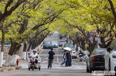 春日八大关，绽放色彩之美
