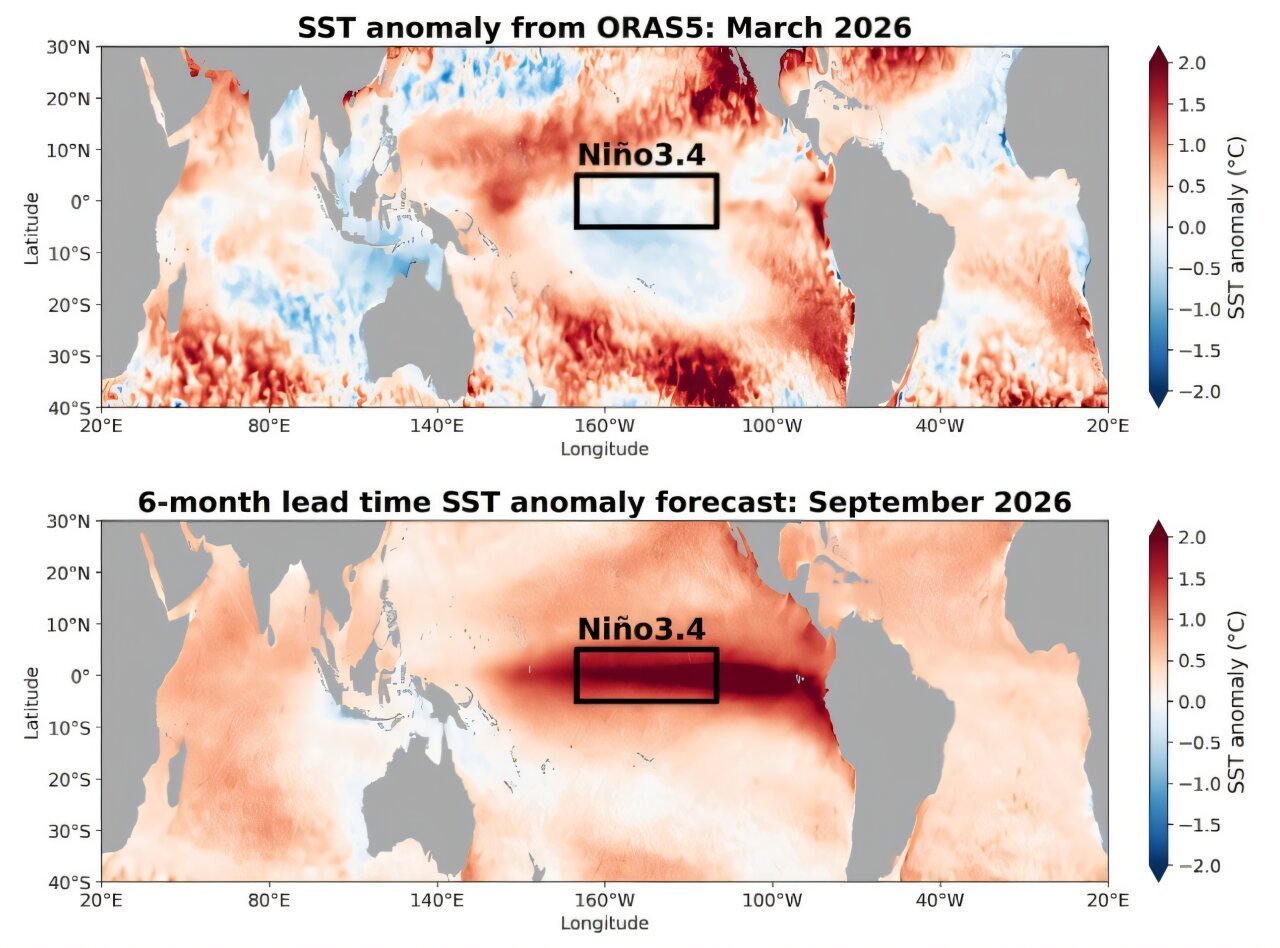 提前15个月预警  新模型预测今年年底有强厄尔尼诺事件