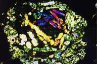 我国科技人员揭秘44.8亿年的“太阳系活化石”