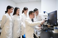 维生素A或可逆转高温诱导代谢紊乱