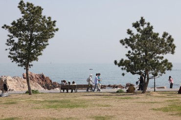 疑似初夏来 青岛小麦岛风光旖旎如画