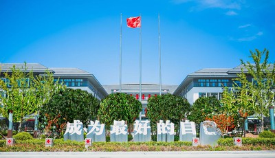 �ӡ���ɫ�����������ǻ����ܡ��� �����ൺʵ����еĿ�Խʽ��չ