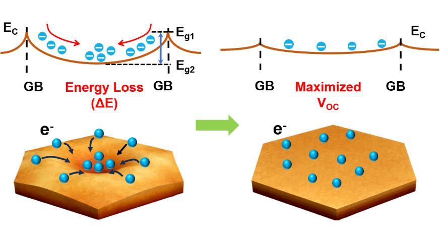 宁波大学团队在钙钛矿光伏物理领域取得新突破