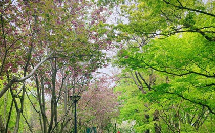 ��ɽ��԰С·����������·��