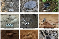 2025年度全国十大考古新发现结果公布