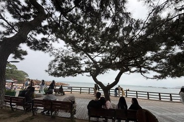 海滨风景美，游人驻足打卡
