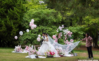浪漫520,百花苑新人扎堆拍婚纱照