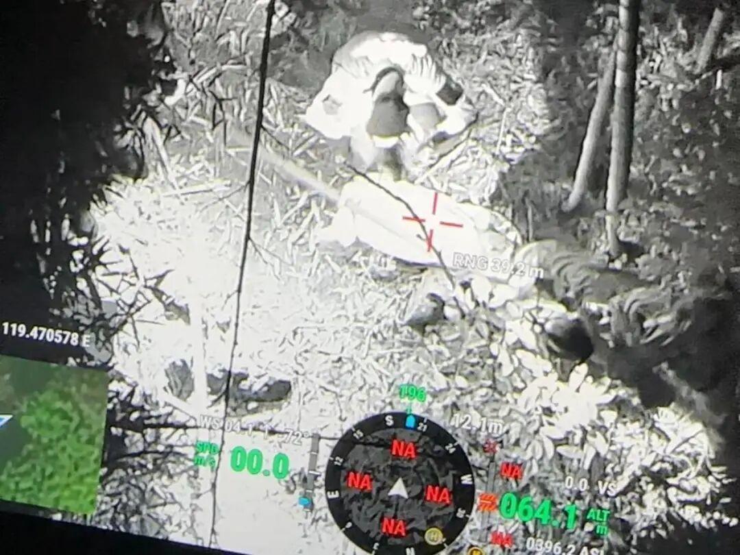 两头家猪窜进天目山不愿回家，九旬老伯忧心难眠，热成像无人机助力搜寻成功众人合力抬猪下山