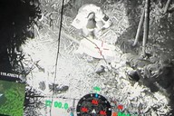 两头家猪窜进天目山不愿回家，九旬老伯忧心难眠，热成像无人机助力搜寻成功众人合力抬猪下山