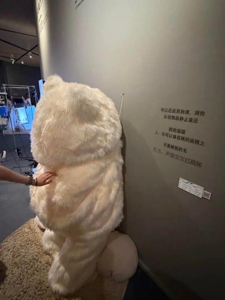 央美毕业展多件作品遭损坏！大猫毛层被掀开，装置绳子被扯断……