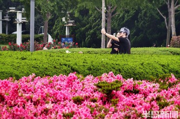 青岛海滨凉爽宜人，游客纷至沓来