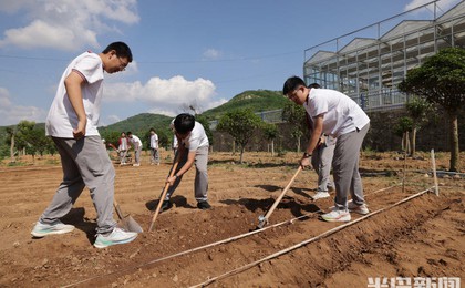 研学下农田,厨艺进课堂