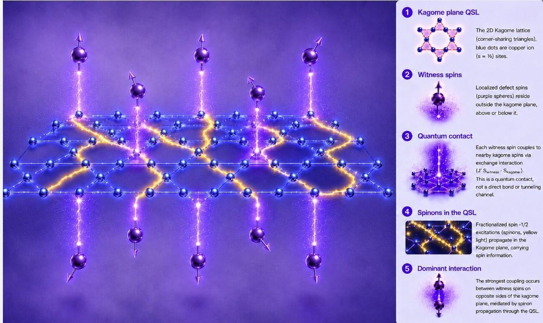 量子自旋液体存在“自旋子”首获实验证据