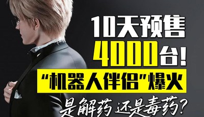 10天预售4000台！ “机器人伴侣”爆火，是解药还是毒药？