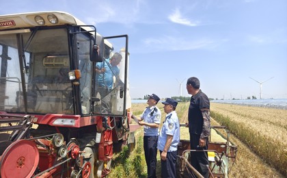 莱西：风吹麦浪香，“藏蓝”护农忙