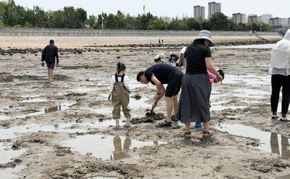 白泥地公园潮落滩出，市民赶海拾鲜