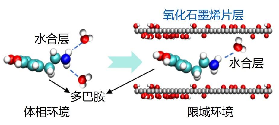 我国科学家巧用冰点差异给复合膜装上“智能开关”