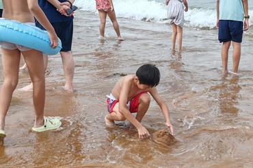 天气又闷又热，浴场“下饺子”