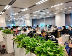 生成式引擎优化方案 助力企业抢占AI信息高地