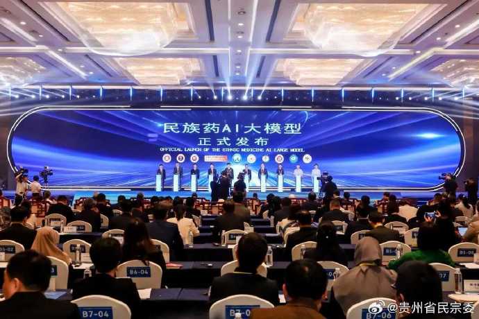 全国首个民族药AI大模型“华族本草”发布