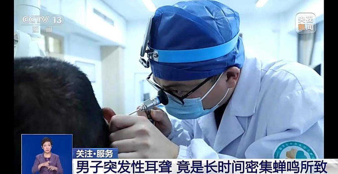 男子突发性耳聋，元凶竟是“电钻级”蝉鸣