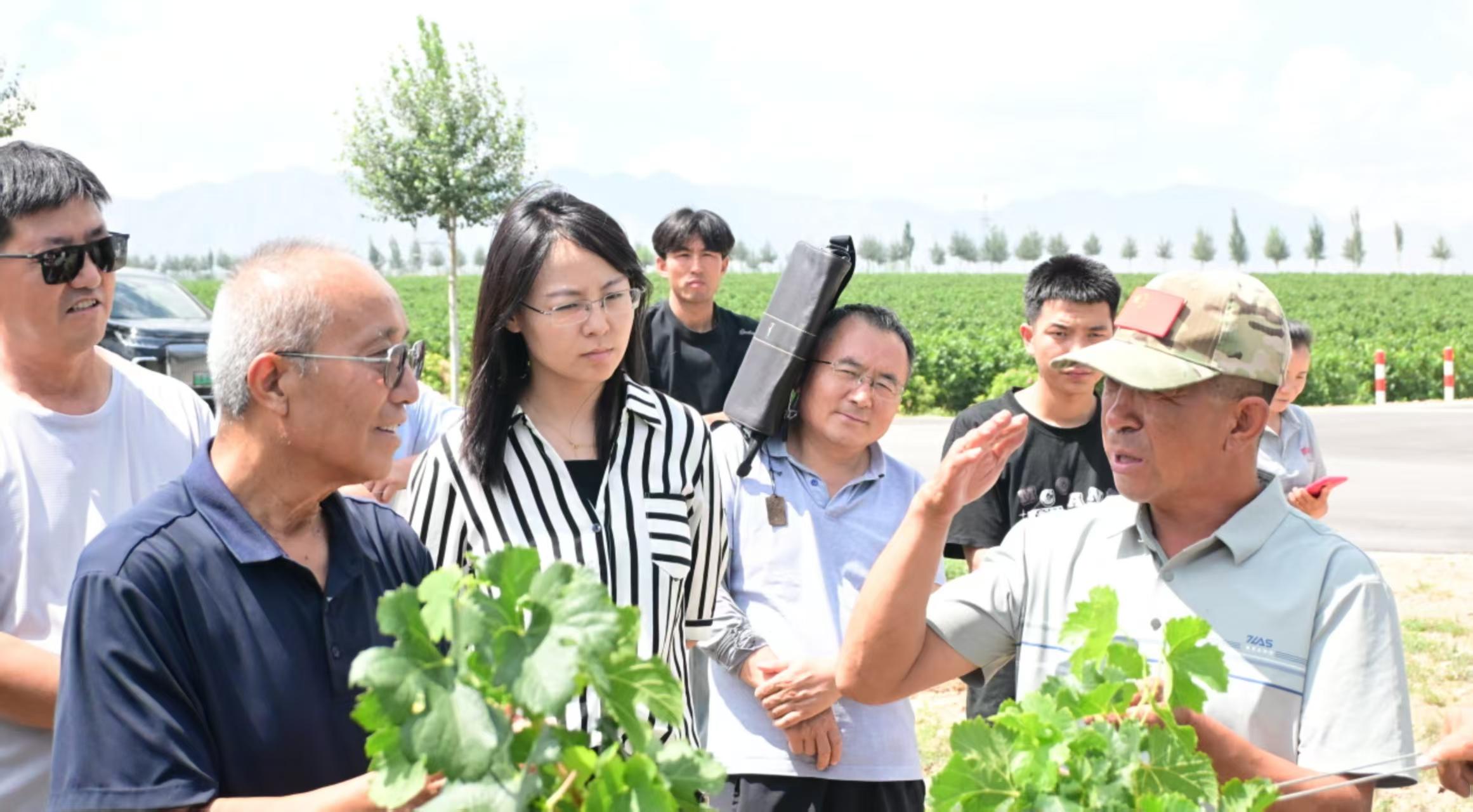 宁夏永宁：专家科技服务赋能“紫色产业”提质升级