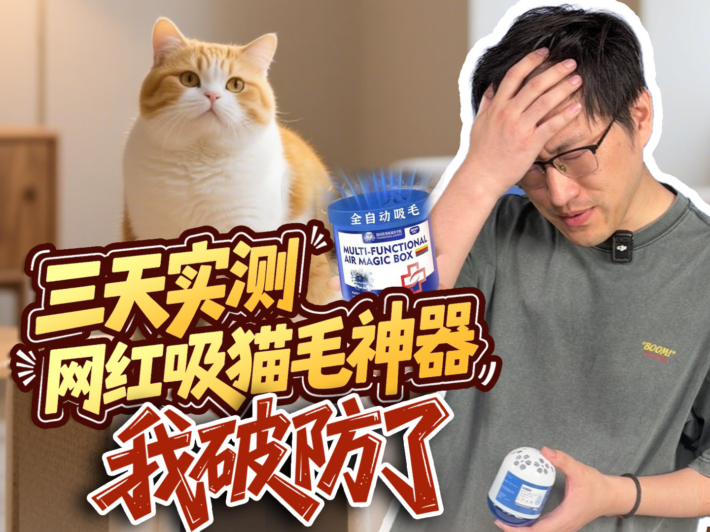 三天实测网红吸猫毛神器，我破防了