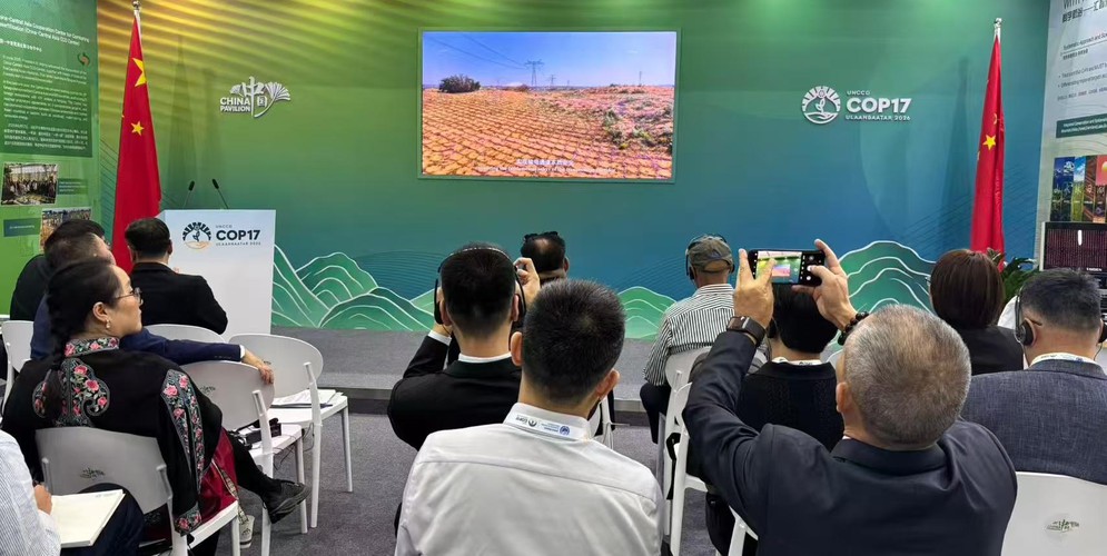 亮相联合国COP17！国网宁夏电力交出大漠治沙绿色答卷