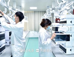 活力中国调研行|百年老字号牵手AI：当老药工的手感变成算法
