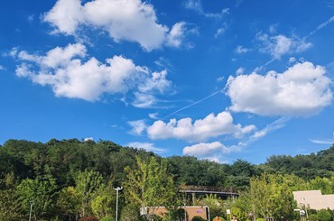 一抬头，秋天来了！青岛市区飘起朵朵棉花云