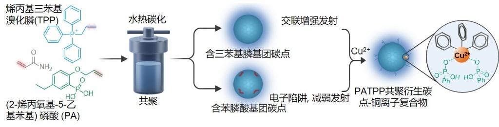 打破“元素掺杂”盲盒试错，哈工大解锁碳点发光调控和铜离子亲和力新密码