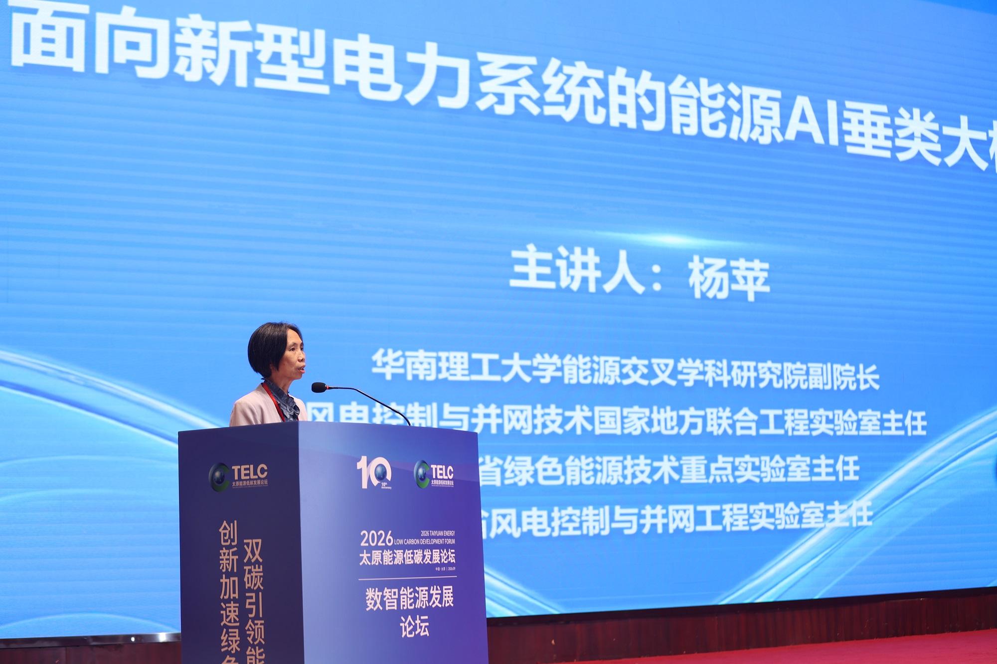 专家：新型电力系统呼唤垂类大模型