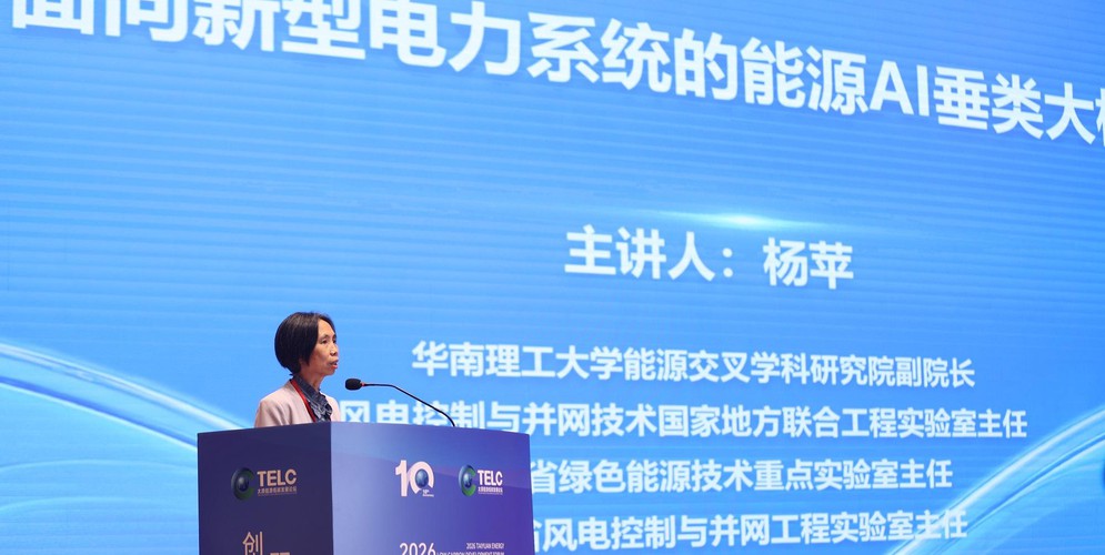 专家：新型电力系统呼唤垂类大模型
