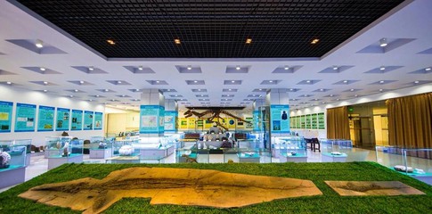 西海岸这些高校科普场馆免费开放！