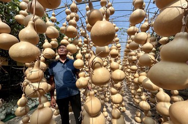 青岛“葫芦爷爷”和他的50万个“葫芦娃娃”