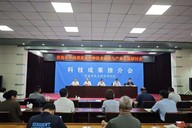 以国产“芯”育中国种！华南型黄瓜专用5K液相育种芯片V1.0在青岛正式发布