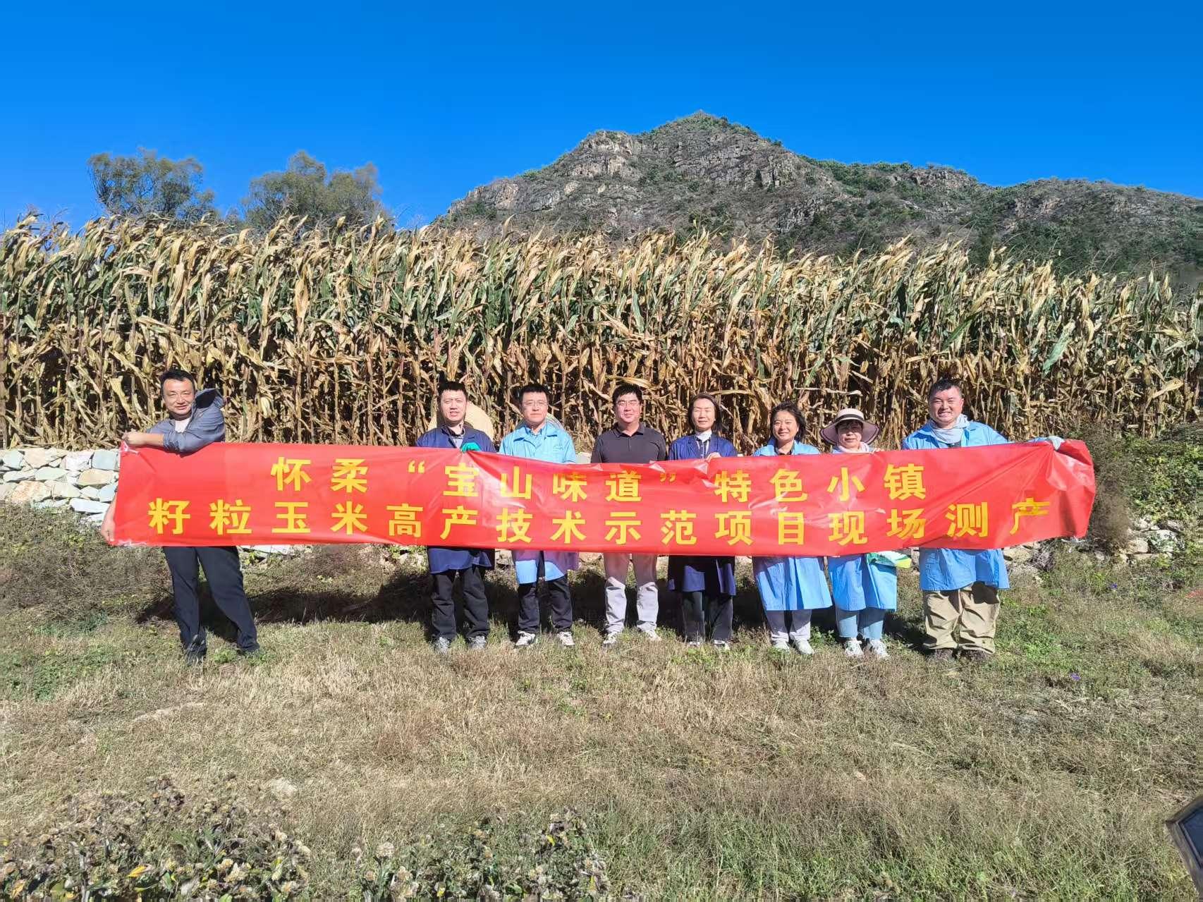 科技赋能京郊沟域粮食增产  北京怀柔宝山1600亩春玉米示范田实现吨粮