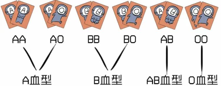 “爸爸AB型妈妈A型女儿O型”登上热搜，这些情况可能生出血型“不匹配”的孩子