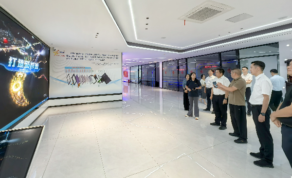 “广州研发+龙岩制造”，激活福建武平新型显示产业发展新引擎
