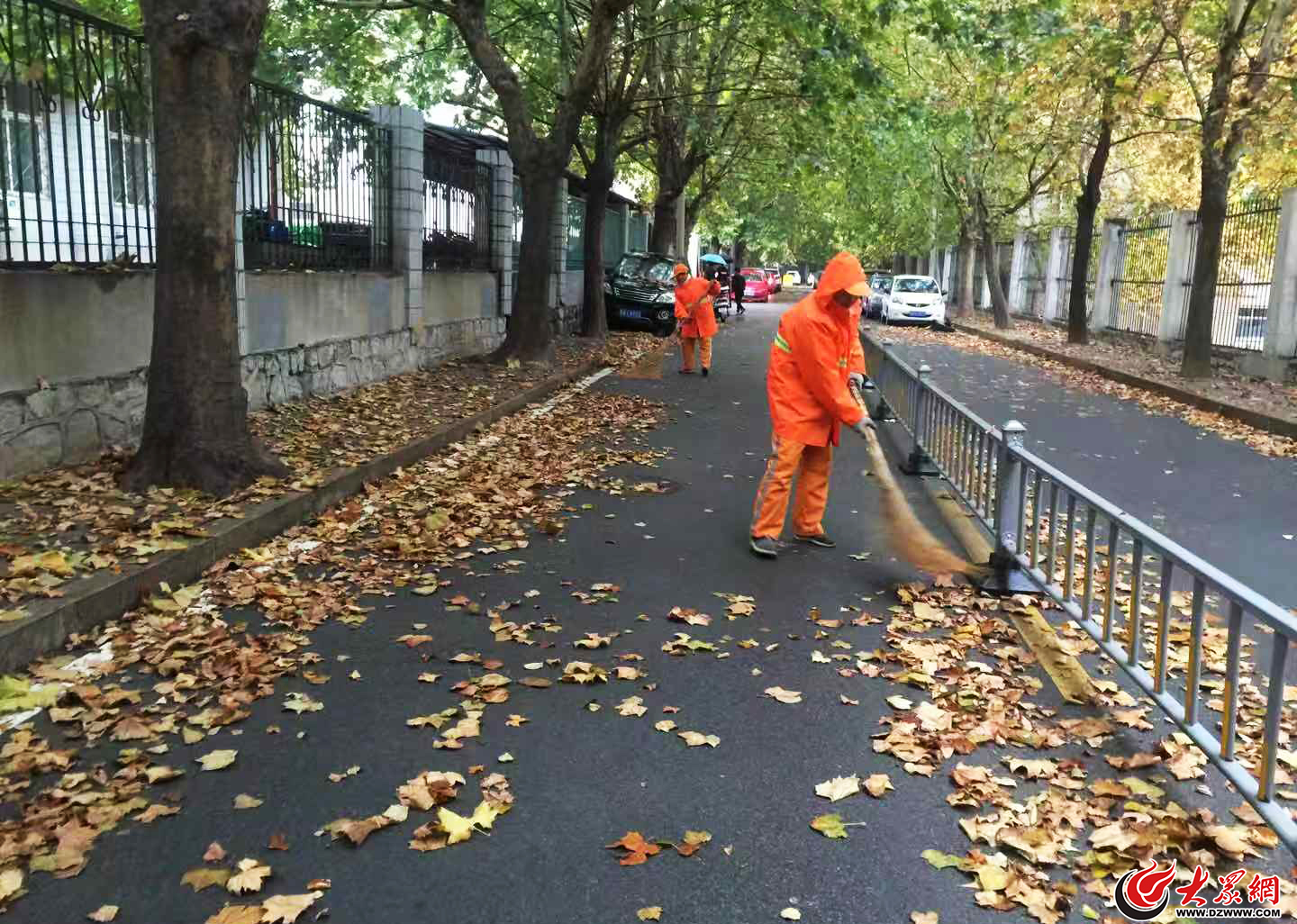 战秋雨扫落叶济南环卫工人寒风中保城市整洁