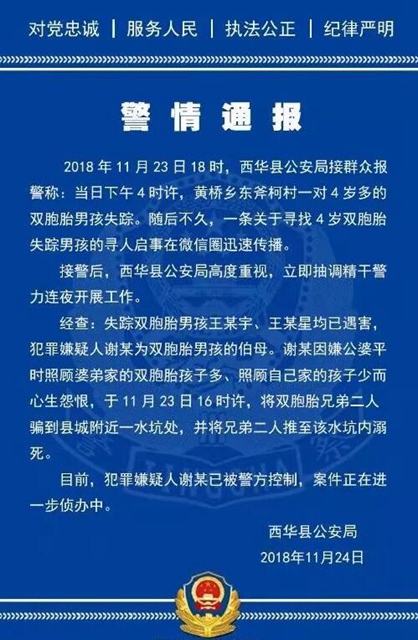 痛心!河南4岁双胞胎被推至水坑溺死,犯罪嫌疑人竟是其伯母
