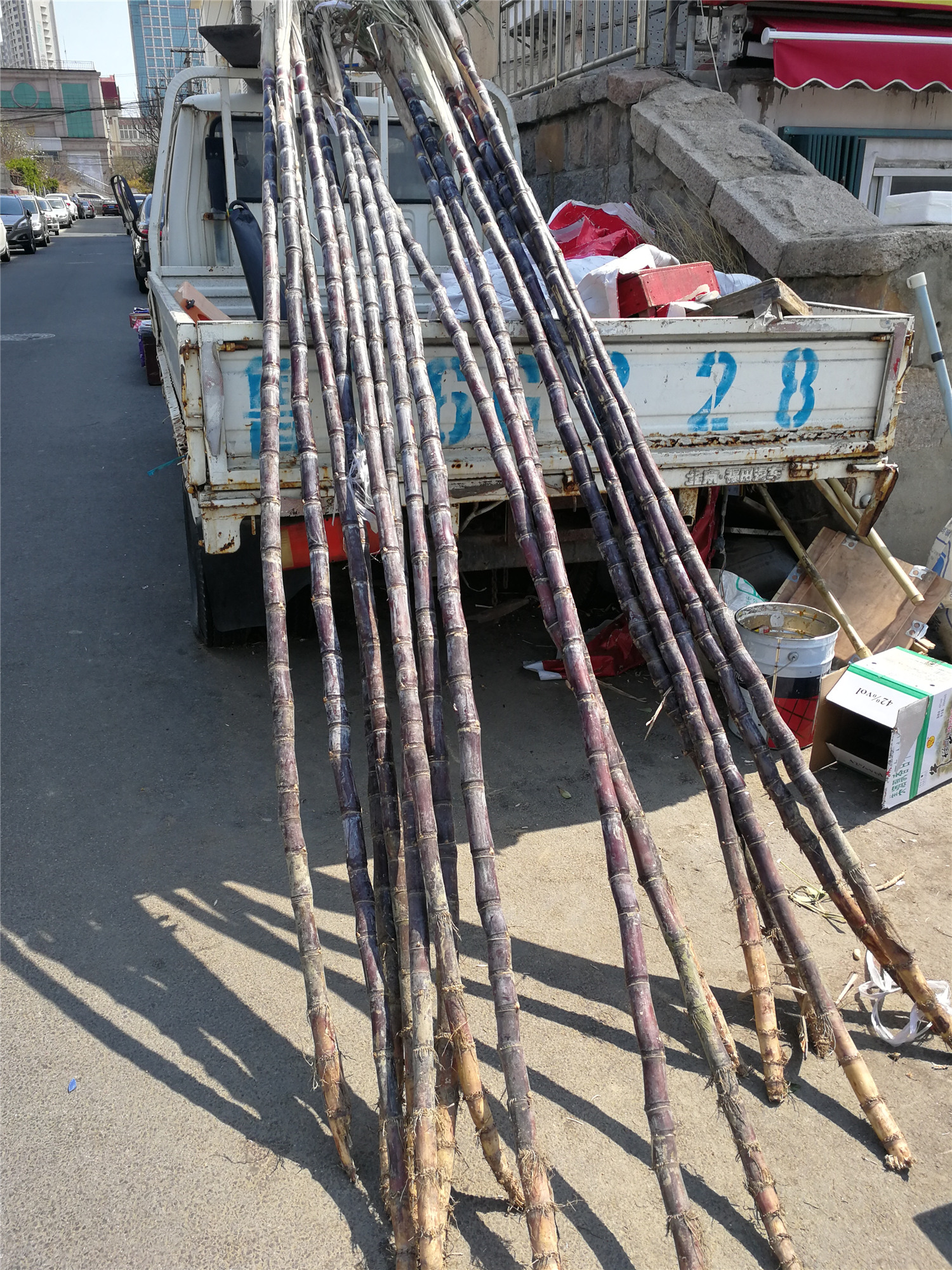 清明蔗毒过蛇青岛一营养专家说法并不绝对发红发霉甘蔗不能吃