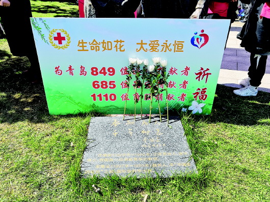 青岛累计实现器官捐献700例 小九月母亲:想对受捐者道声谢