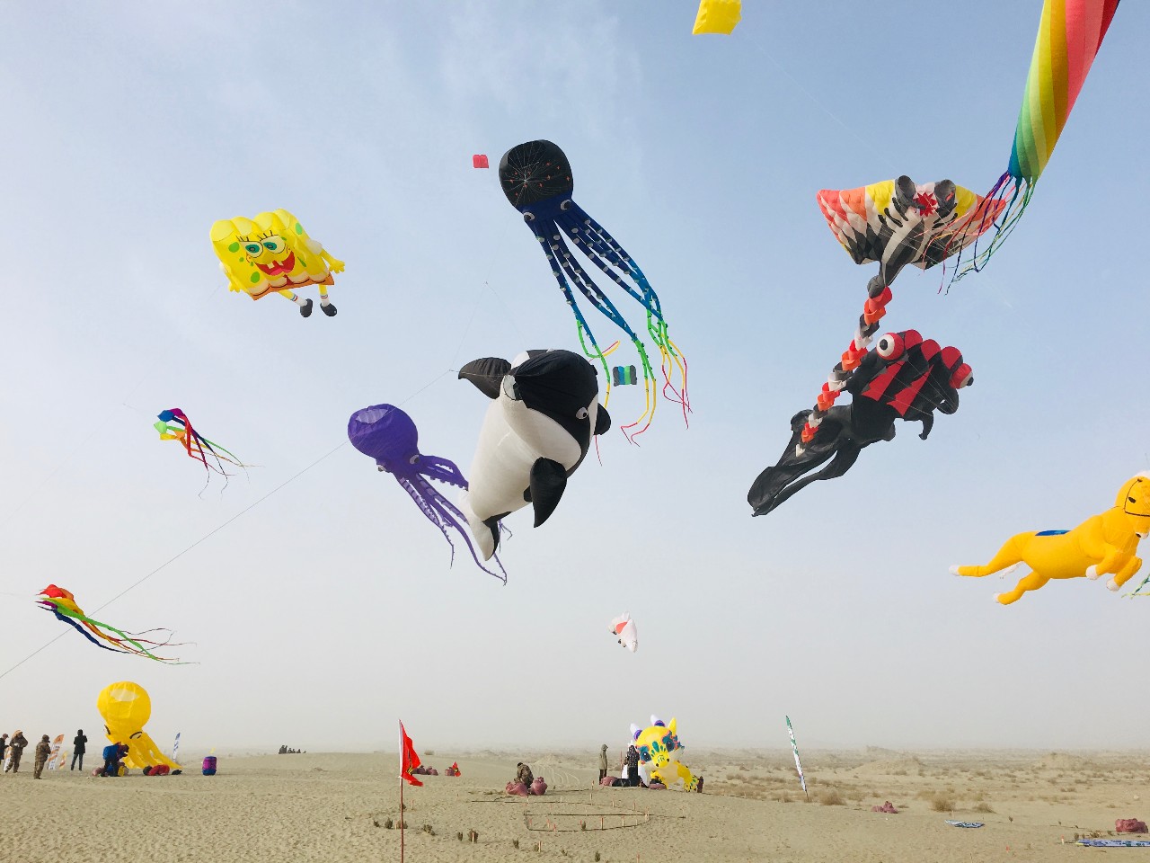 潍坊风筝飞在了塔克拉玛干沙漠上空