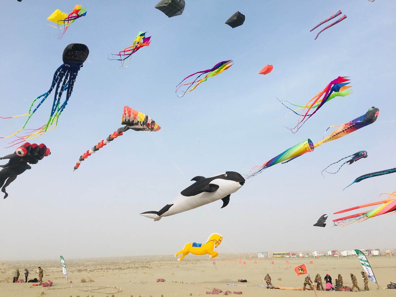 潍坊风筝飞在了塔克拉玛干沙漠上空