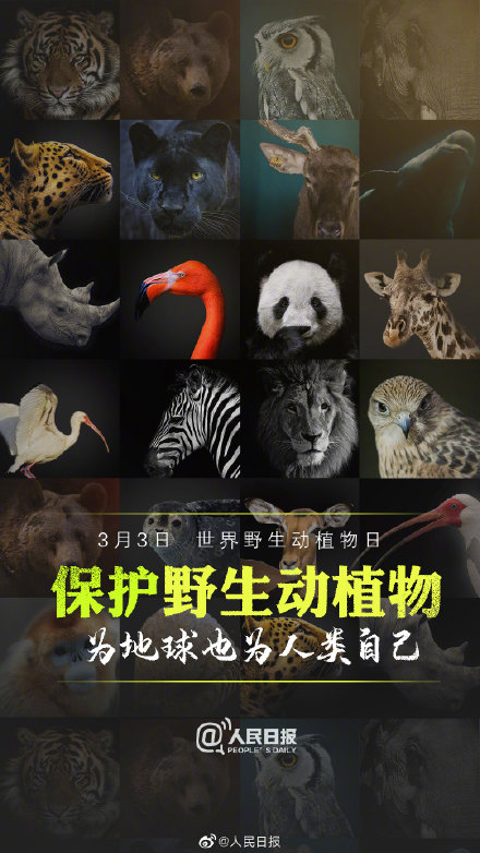 第7个世界野生动植物日 保护它们为地球也为人类自己-半岛网