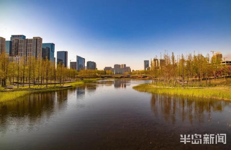 青岛美景图鉴:五一假期不妨到这些精品绿地逛逛