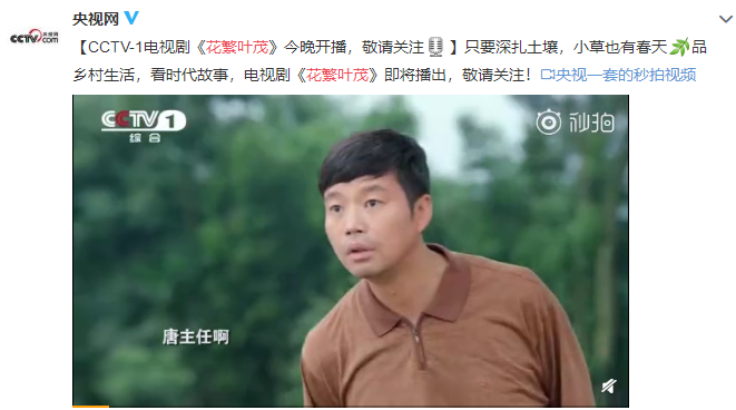 电视剧《花繁叶茂》央视热播 王迅演活务实村干部